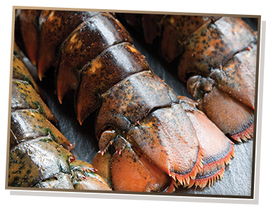 Lobster Tails